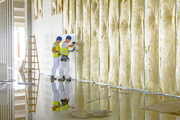 Best Crawl Space Insulation  in Pooler, GA